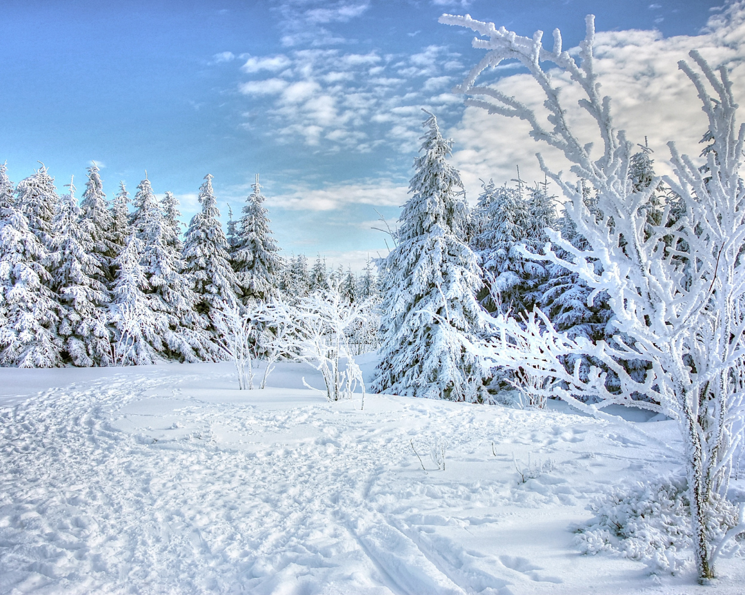 Seasonal Affective Disorder winter tips